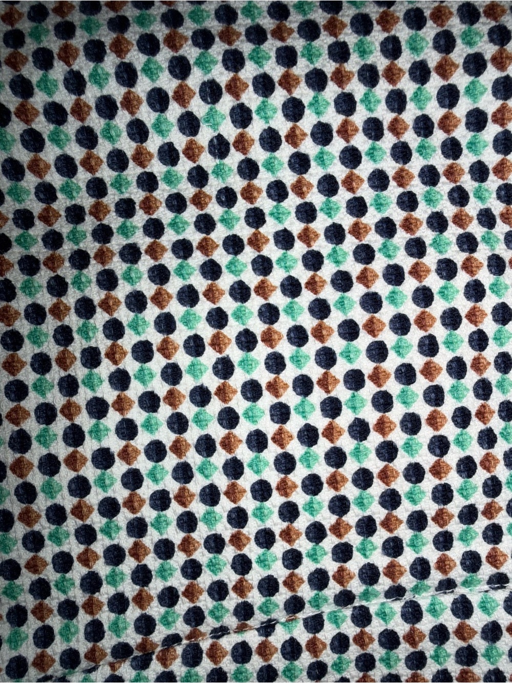 Anthropologie White High-Waist Scallop Hem Shorts with Blue & Brown Dot Print - Picture 5 of 9